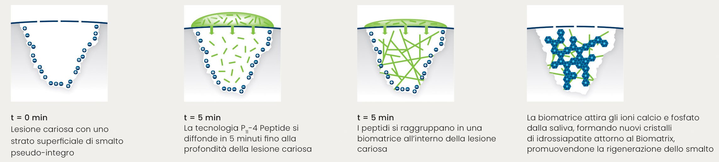 Rigenerazione-smalto